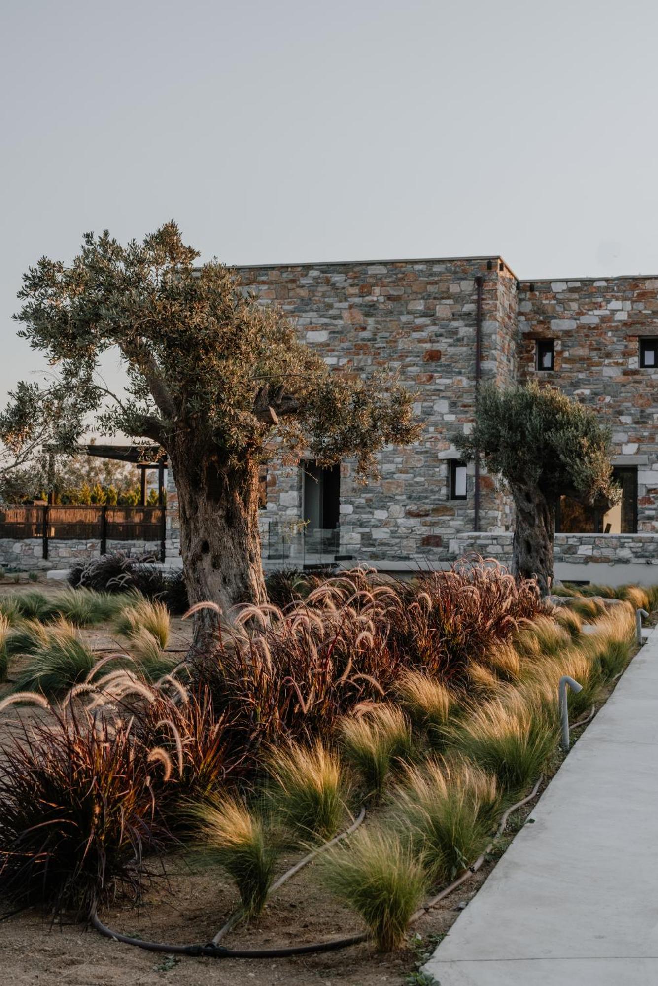 Onym Curated Villas Pláka Dış mekan fotoğraf