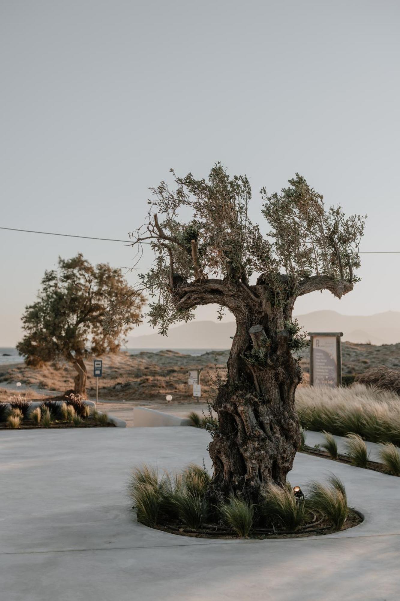 Onym Curated Villas Pláka Dış mekan fotoğraf